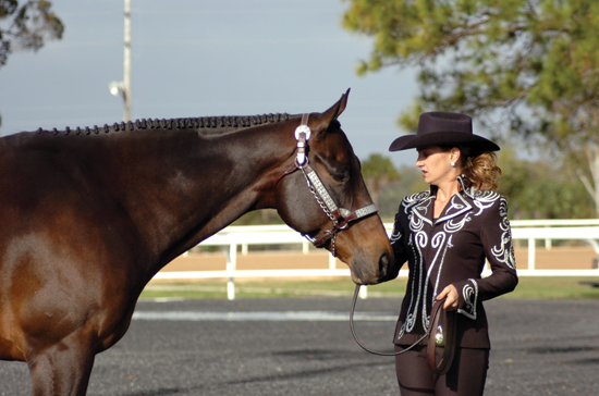 Brandy Halladay’s passion for horses withstands challenge