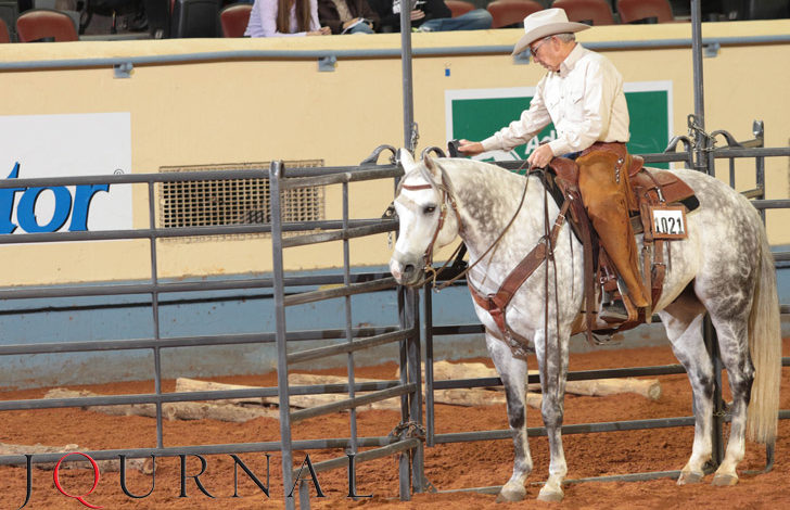 Find Your AQHA Level