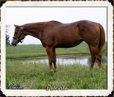 Legendary mare Dotevita passes at Masterson Farms