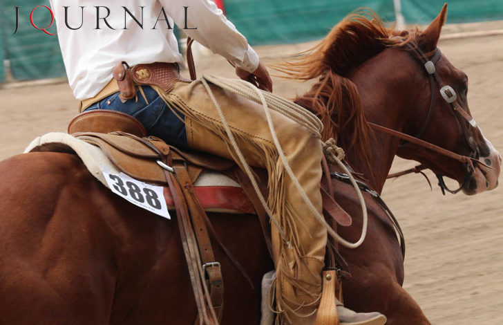 Versatility Ranch Horse Classes Expanded in 2016