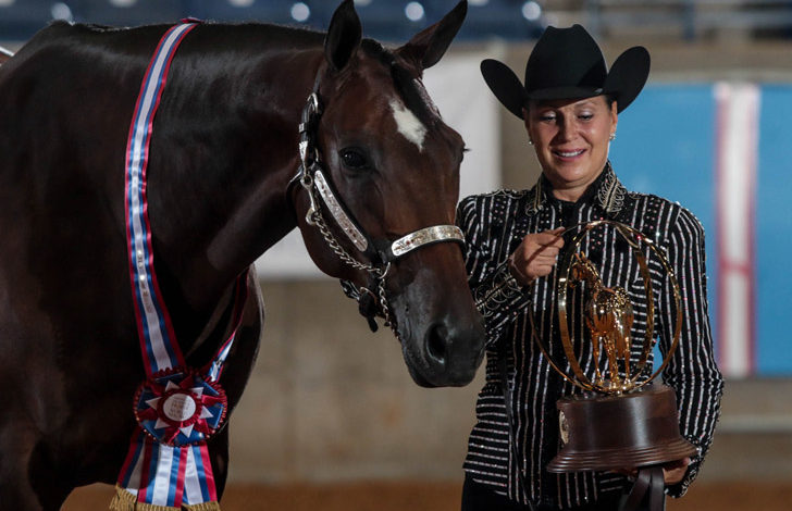 Recently Approved Recommendations from the AQHA Show Committee