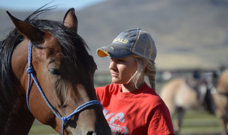 NATURAL HORSEMANSHIP PROGRAM ADDS INSTRUCTOR OPTION