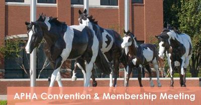 Standing committee agendas posted for 2016 APHA Convention