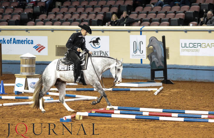 AQHA High-point standings for 2015 are finalized