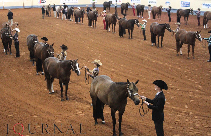 AQHA Expands Level 2 Championships for 2016