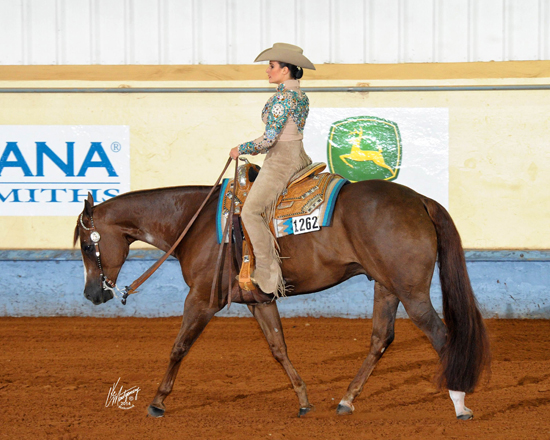 Morgan-Horsemanship