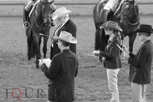 AQHA Releases Updated Competitive Horse Judging Manual