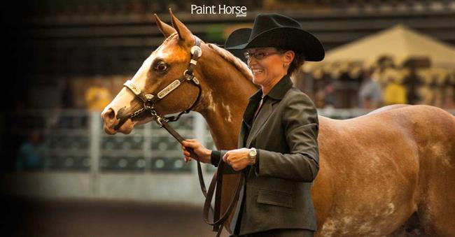 APHA and Breeders Halter Futurity partner to offer big money incentives