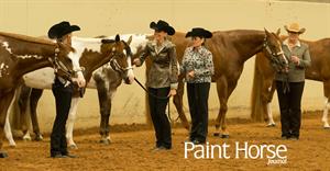 The American Paint Horse Association Announces Top 20 Shows of 2015