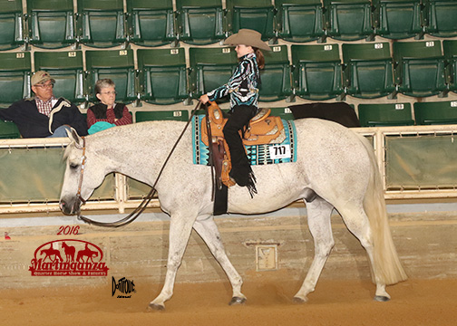 Martinganza Quarter Horse Show in full swing in North Carolina