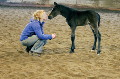 Tracie Plummer is having her first experience raising an orphan foal this year.