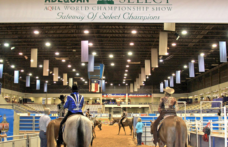 Qualify for the 2016 AQHA Select World By May 31