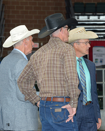 Iowa AQHA Circuit • June 5-11, 2016 • Des Moines, Iowa