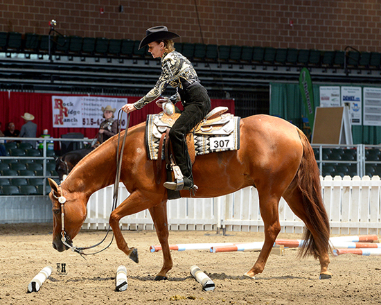 Iowa AQHA Circuit • June 5-11, 2016 • Des Moines, Iowa