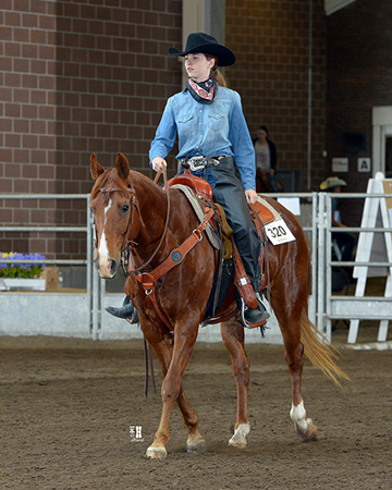 Iowa AQHA Circuit • June 5-11, 2016 • Des Moines, Iowa