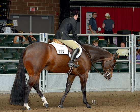 Iowa AQHA Circuit • June 5-11, 2016 • Des Moines, Iowa