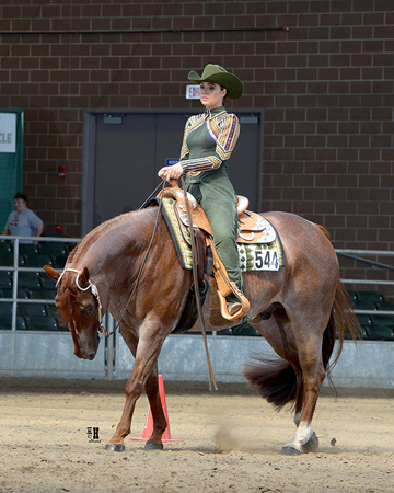 Iowa AQHA Circuit • June 5-11, 2016 • Des Moines, Iowa