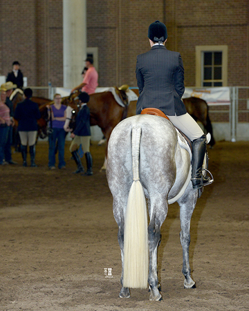 Iowa AQHA Circuit • June 5-11, 2016 • Des Moines, Iowa