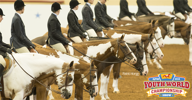 Entries up over 5% at 2016 APHA Youth World Show
