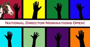 directornom-fb