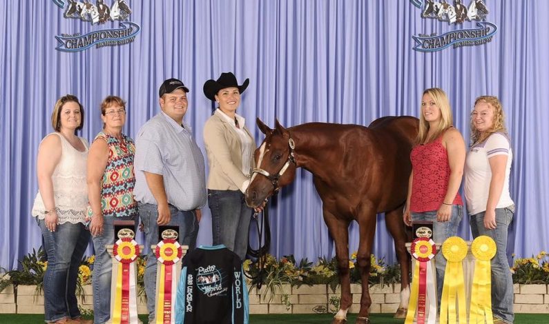 Entry Deadline Extended for the Farnam APHA Breeders’ Trust Select Yearling Sale