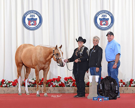 Palomino Championship honors the memory of one dedicated breeder