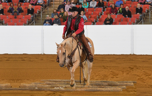 Ranch Riding champions crowned at 2016 Quarter Horse Congress