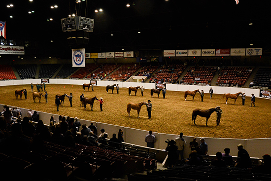 All American Quarter Horse Congress Horse Show Schedule Released
