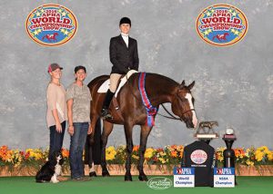 Top Amateur titles awarded at 2016 APHA World Championship Show