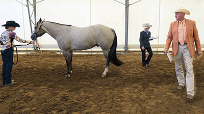 John and Betsy Tuckey judge together at a show in Indiana.