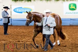 PF Chrome Rimz and Thomas Coon win amateur 3-year-old geldings. (Journal photo)