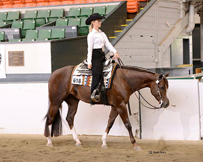 Sarah Rosciti showing in the saddle she had dyed black.
