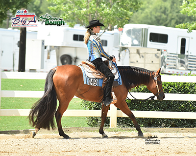 Lexus Made Lady named 2016 NSBA Horse of the Year