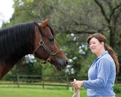 A Closer Look at Equine Activity Liability Laws