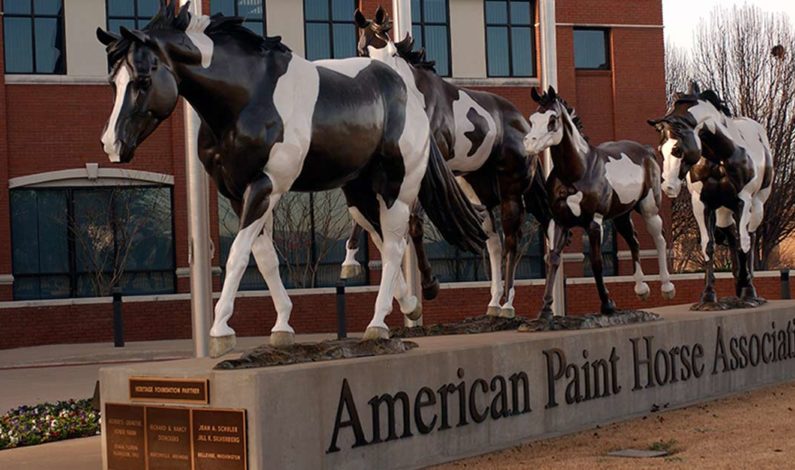 Grant Awarded to APHA Foundation in Preparation for Stockyards Move