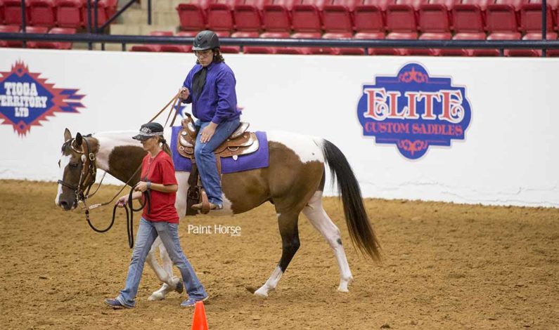 Stars & Stripes Summer Spectacular returns to the Youth World Show