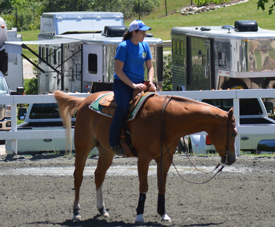 AQHA Level 1 Championship-East • May 2-7, 2017 • Raleigh, North Carolina