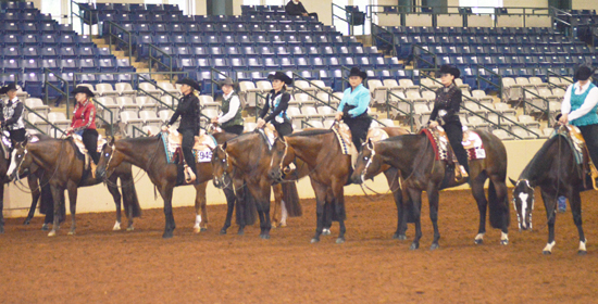 Complete results from the Lucky 7 Classic AQHA Circuit