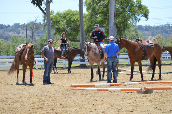 Sun & Surf Circuit Features AQHA and NSBA Classes
