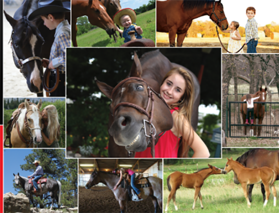 AQHA photo contest deadline is May 26 so submit yours today!
