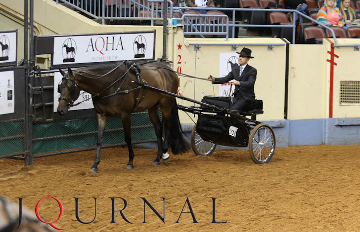 Recently approved recommendations from the AQHA Show Committee