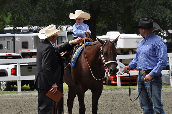 Tar Heel Triple Classic brings AQHA and NSBA competitors to Raleigh