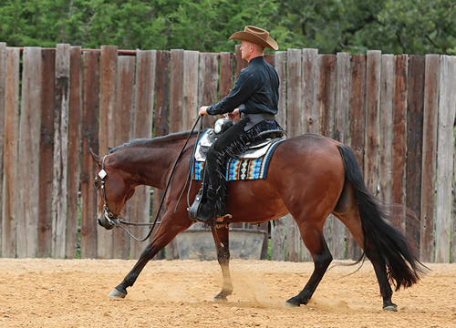 Reid Thomas is a Whiz at Matching Horses to Riders