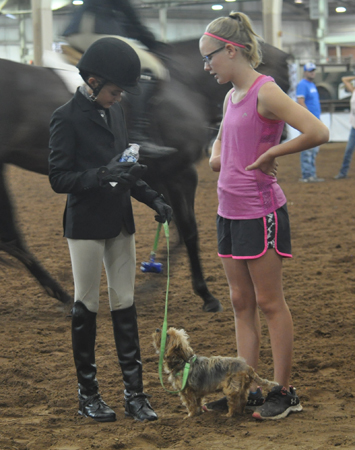 AQHYA World Show • August 4-12, 2017 • Oklahoma City, Oklahoma