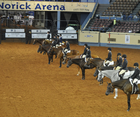 New World Champions Crowned at the AQHYA World Show