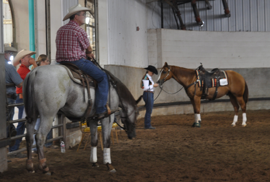 AQHYA World Show • August 4-12, 2017 • Oklahoma City, Oklahoma