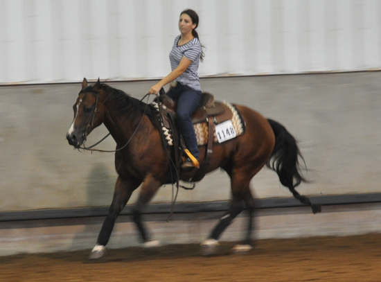 AQHYA World Show • August 4-12, 2017 • Oklahoma City, Oklahoma