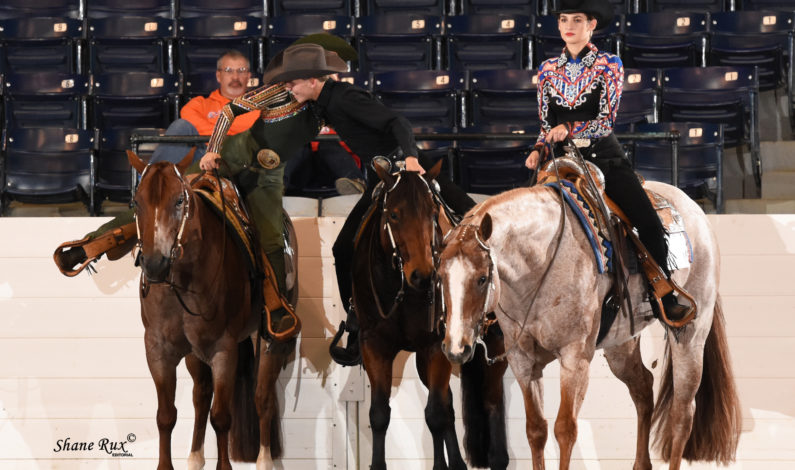 Creating good sportsmanship at horse shows a team effort