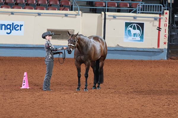 Zips Bossy Chip claims AQHA top youth point earner honor