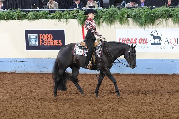 Johnna Letchworth named the All-Around Amateur at the AQHA World Show